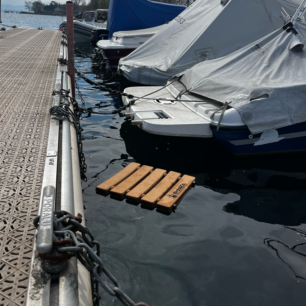Léman 1 floating cork nesting platform moored to the pontoon, next to covered boats
