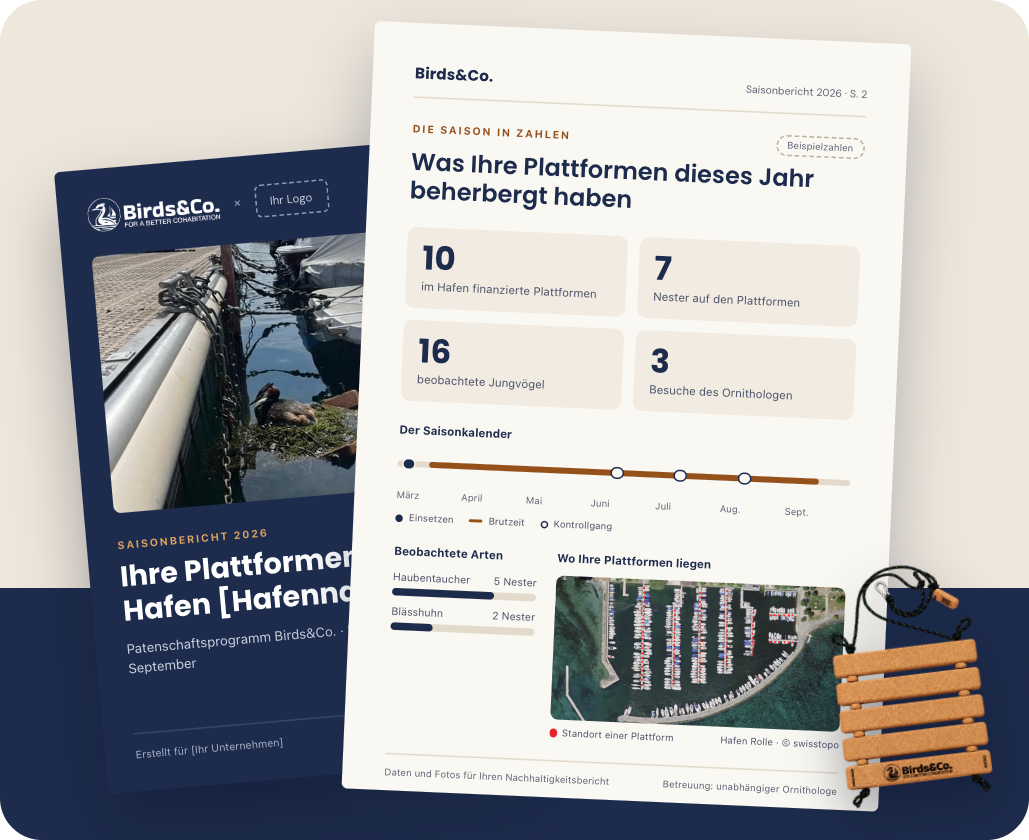 Beispiel eines Saisonberichts mit Titelseite und Seite «Die Saison in Zahlen» Bild